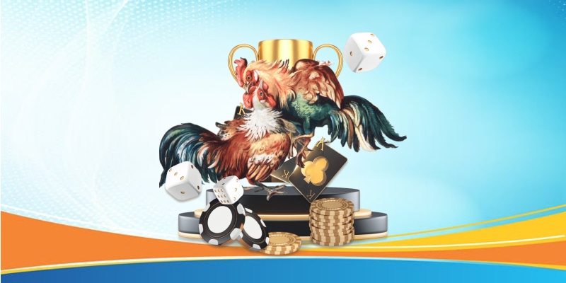Chiến thuật chơi đá gà từ các chuyên gia uy tín